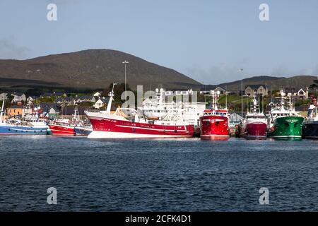 Castletownbere, Cork, Irland. September 2020. Die Fischereirechte sind zu einem integralen Thema der britischen Brexit-Verhandlungen geworden, wobei Boris Johnsons Regierung versucht, die Fangquote für britische Fischer nach dem Brexit zu verdoppeln. Bild zeigt einen Teil der Fischereiflotte, die in Castletownbere, West Cork, Irland, gebunden ist. - Credit; David Creedon / Alamy Live News Stockfoto