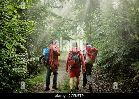 Rückansicht der Gesellschaft männlicher Bergsteiger mit Kletterausrüstung Und Rucksäcke zu Fuß entlang Weg in Wäldern Stockfoto