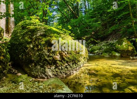 Großer Felsen im Sonnenlicht, überwuchert mit grünem Moos, am Bach eines Naturwaldes. Großer Stein am Rande eines Bachbettes an einem sonnigen Sommertag Stockfoto