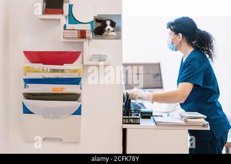 Seitenansicht einer Frau in medizinischer Maske und Uniform, die in der Nähe des Schreibtisches im Büro steht, während sie in der Tierarztklinik arbeitet Stockfoto