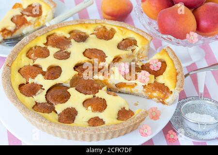 Aprikosenkuchen auf Kuchenteller und frische Aprikosen Stockfoto
