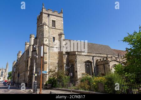 Die St. Botolph's Church (Anglikanische Kirche) in der Trumpington Street, Cambridge, Cambridgeshire, Großbritannien. Stockfoto