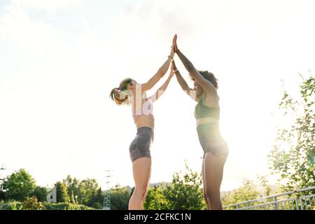 Low-Winkel-Seitenansicht der aktiven jungen multirassischen Frauen in Sportbekleidung, die sich von Gesicht zu Gesicht und die Arme während des Fitnessvorgangs strecken Training im Park am Sommertag Stockfoto