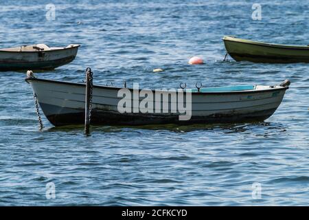 Gruppe von alten Ruderbooten auf einem See. Stockfoto