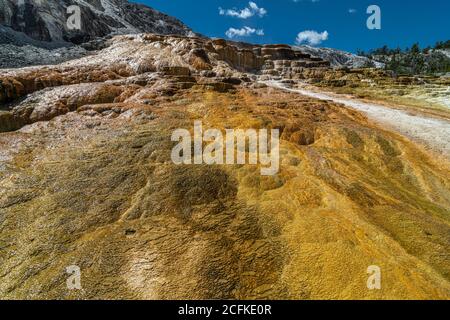 Jupiter Terrace in der Mammoth Hot Springs Gegend, Yellowstone Nationalpark Stockfoto