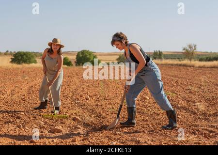 Weibchen Bauern in Sonnenhut mit Rechen auf dem Boden des Feldes Während der Arbeit im Dorf im Sommer Stockfoto