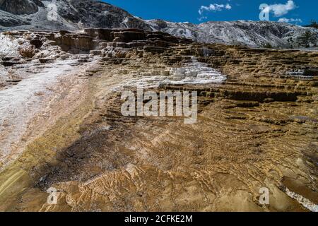 Jupiter Terrace in der Mammoth Hot Springs Gegend, Yellowstone Nationalpark Stockfoto