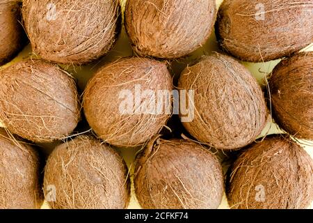 Muster, Textur mit Kokosnüssen auf weißem Hintergrund. Tropischer abstrakter Hintergrund. Flach liegend, Draufsicht. Stockfoto