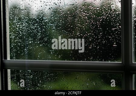 Fensterregen fällt Stockfoto