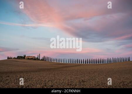 Zypressenallee bei Poggio Covili Bauernhaus in der Toskana, Italien bei Morgenröte am frühen Morgen im Val d'Orcia Stockfoto