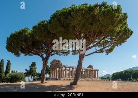 Griechischer Tempel der Athena oder Ceres in Paestum, Italien mit dorischen Säulen und Olve-Bäumen Stockfoto