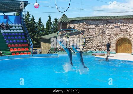 Adler, Sotschi, Region Krasnodar, Russland - Juni 11.2017: Große Tümmler sind große Delfine, oder große Tümmler (lat. Tursiops truncatus) Springen Stockfoto