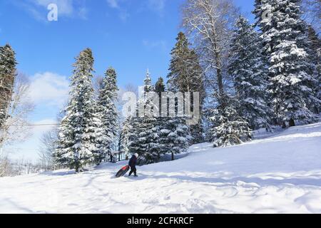 Russland, das Plateau Lago-Naki, Adygeya - Januar 28.2017: Mädchen mit Hüpfkäsekuchen-Tubing für die Bergabfahrt. Sonniger Wintertag in den Bergen Stockfoto