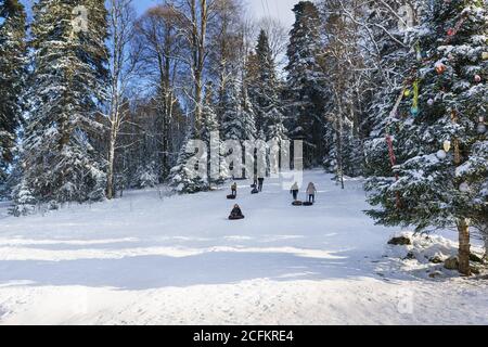 Russland, das Plateau Lago-Naki, Adygeya Republik - Januar 28.2017: Kinder und Erwachsene reiten auf einem verschneiten Hügel. Sonniger Wintertag im Nadelgebirge Stockfoto