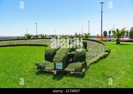 Russland, Sotschi, Region Krasnodar-Juni 05.2017: Buchsbaum Topiary in Form eines Rennwagens im Olympiapark der südlichen Stadt Stockfoto