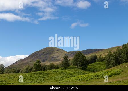 Blick auf Ben Reid in Glen Clova, Angus, Schottland. Stockfoto