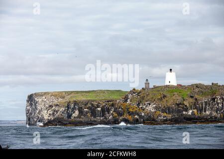 Die Isle of May von einem Boot aus in der Nordsee gesehen, Schottland Stockfoto