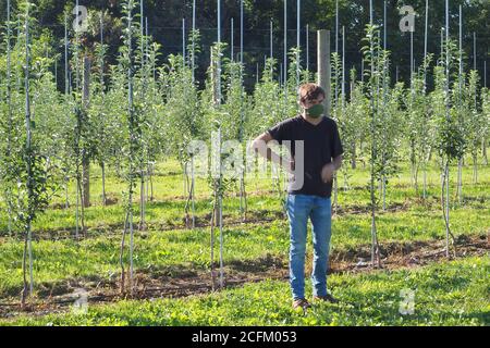 Der Bauer steht vor dem Apfelgarten. Stockfoto