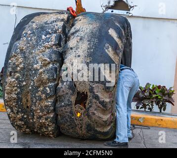 Acapulco, Mexiko - 25. November 2008: Mann arbeitet an 2 riesigen schwarzen und schmutzigen Reifen im Hafen. Stockfoto