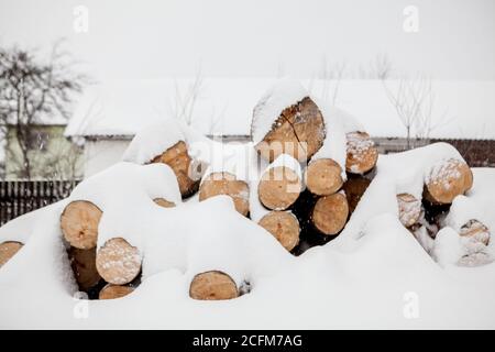 Bäume unter dem Schnee gefällt. Rohstoffe für die holzverarbeitende Industrie. Holzlagerung im Freien. Holzfirma. Holz. Rundholz. Rundholz Stockfoto