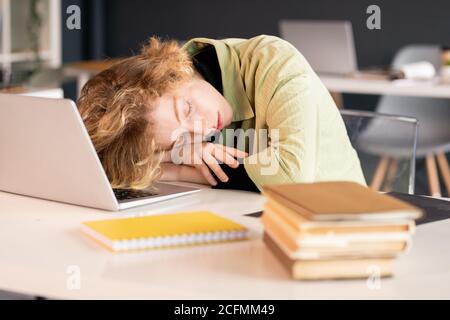 Junge erschöpfte Studentin oder Büromanagerin, die den Kopf aufrecht hält Hände Stockfoto