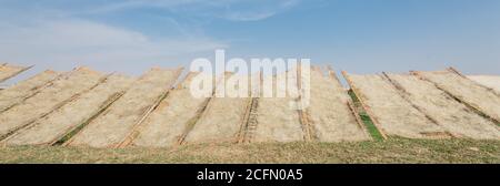 Aufwärts Ansicht Reihe von Bambuszäunen mit vietnamesischen Reis vermicelli Trocknen in der Sonne außerhalb von Hanoi, Vietnam Stockfoto