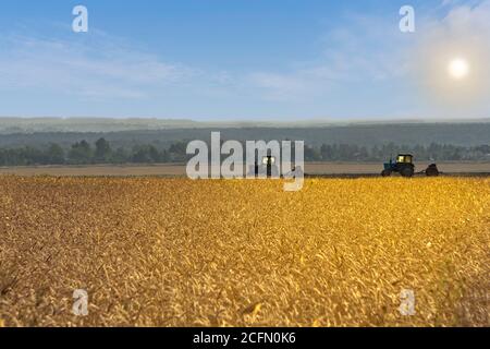 Schöne landwirtschaftliche Landschaft mit Filet von goldenem Weizen und zwei alten Traktoren mit Sämaschinen ausgestattet. Bauern säen Winterweizen im Herbst. Stockfoto