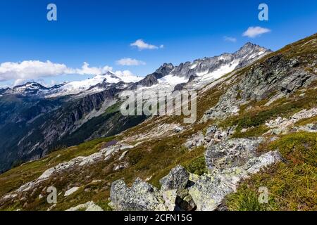 Forbidden Peak, Mount Torrent und Eldorado Peak vom Sahale Arm Trail aus gesehen, North Cascades National Park, Washington State, USA Stockfoto