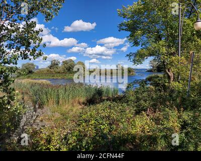 Sommerlandschaft, Blick auf den Fluss Saint-Lawrence an einem schönen Sommertag, Montreal, Quebec, Kanada. Stockfoto