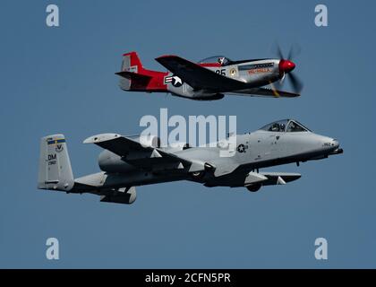 Die US Air Force Maj. Cody „Shiv“ Wilton, KOMMANDANT UND Pilot DES A-10 Demonstrationsteams, fliegt während der Tri-City Water Follies Drive-in Airshow in Pasco, Washington, am 4. September 2020 neben einem P-51 Mustang in einem zweischiffigen Formationsflug. Die Airshow im Drive-in-Stil ermöglicht es der Gemeinschaft, Erfahrungen und Airshow-Erfahrungen zu sammeln, während sie während der COVID-19-Pandemie noch an sozialer Distanzierung teilnimmt. (USA Luftwaffe Foto von Senior Airman Kristine Legate) Stockfoto