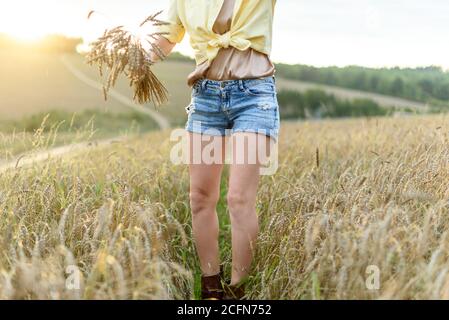 Weibliche Silhouette steht auf dem Hintergrund der reifenden Ohren der Wiese Gold Weizenfeld. Stockfoto