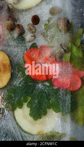 Hintergrund der schwarzen Kaffee Bohnen, Rote kleine Apple, Blume des pelargonium und rote und grüne Blätter in Ice Cube mit Luftblasen Stockfoto