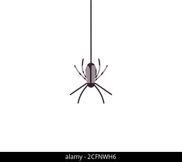 Halloween, Monster, Spinne Symbol. Vektor-Illustration, flaches Design. Stock Vektor