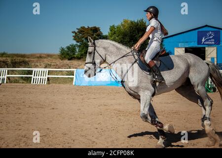 Pferdesport - junge Frau, die sich auf eine springen Schönes Pferd Stockfoto