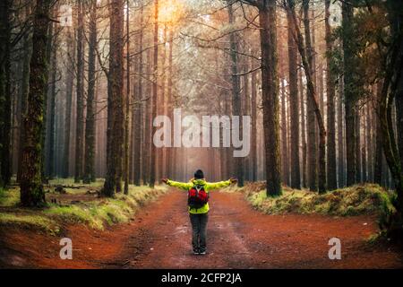 Konzept der Freiheit und Erforschung der Welt - keine Entwaldung Botschaft mit stehenden Menschen öffnen die Arme vor einem Schöne hohe Bäume Wald in trav Stockfoto