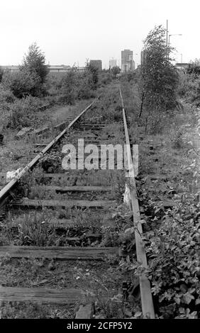 Überwuchert und stillsteht Eisenbahnstrecke, die Teil der ehemaligen Silvertown Tramway in den Docklands Bereich von East London. Stockfoto