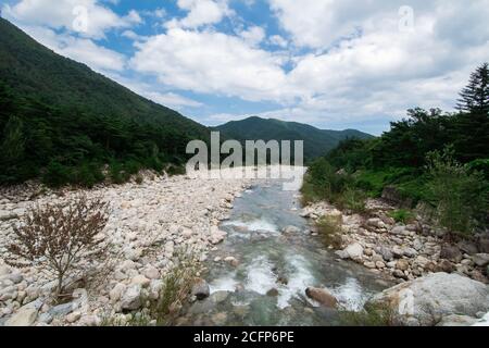 Flacher Bach, der durch das Tal in der Nähe des Eingangs zum Seoraksan Nationalpark in Sokcho, Südkorea, fließt. Stockfoto