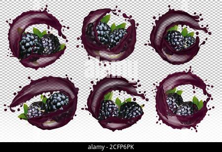 Set von 3d-Icons von sechs Sorten von Brombeere in Spritzern von Safttropfen. Frischer Beerensaft. Reife Brombeere auf transparentem Hintergrund. Illustration für Ihr Poster, Banner. Vektor. Stock Vektor