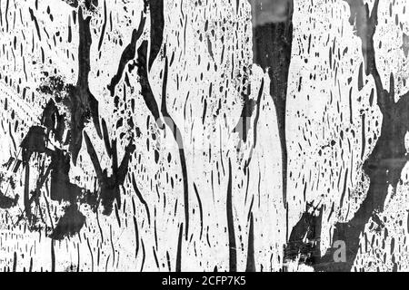 Trockene weiße Farbstriche auf Glas. Alte Grunge-Textur. Abstrakter Hintergrund Stockfoto