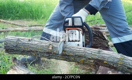 Man sägt ein Holz mit einer Kettensäge auf einem Hintergrund von grünem Gras. Stockfoto