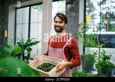 Porträt eines Gärtners, der im Gewächshaus steht und die Kamera anschaut. Stockfoto