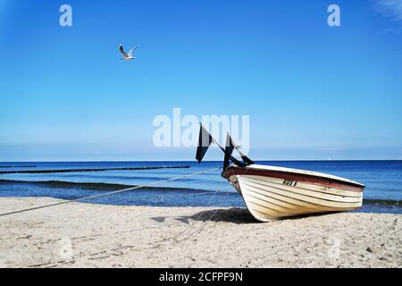 Koserow, Deutschland. August 2020. 08/29/2020, Koserow, Usedom, ein weißes Fischerboot liegt vor einem blauen Himmel am Strand, im Hintergrund die Ostsee mit Groynes und einem vorbeifliegenden Mowe. Quelle: dpa/Alamy Live News Stockfoto