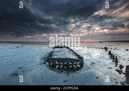 Schiffswrack im wattenmeer Wierumerwad, Niederlande, Friesland Stockfoto