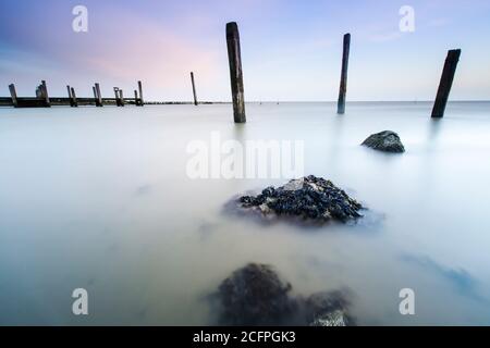 Holzpfosten im Wattenmeer auf Texel, Niederlande, Texel Stockfoto