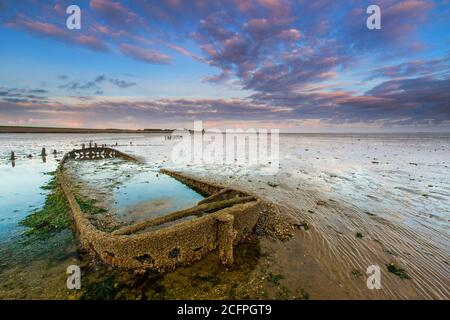 Schiffswrack im wattenmeer Wierumerwad, Niederlande, Friesland Stockfoto