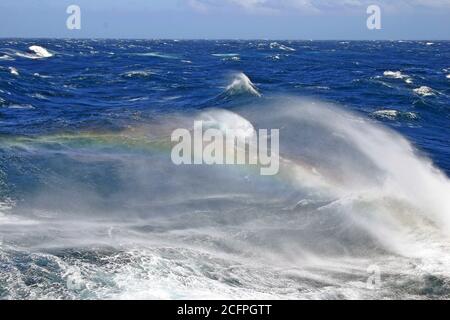 Raue Meere des südlichen pazifischen Ozeans, riesige Wellen mit Regenbogen, die im Schaum von der Spitze der brechenden Wellen, Neuseeland, zu sehen sind Stockfoto