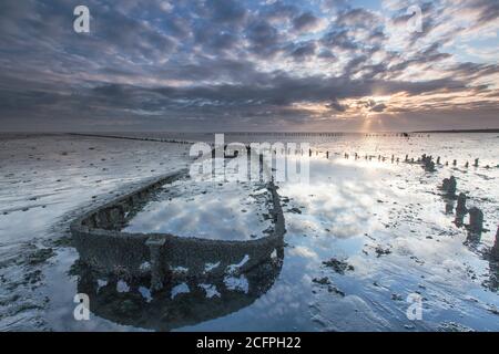 Schiffswrack im wattenmeer Wierumerwad, Niederlande, Friesland Stockfoto