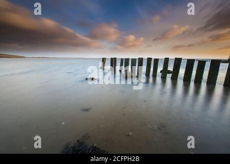 Holzpfosten im Wattenmeer auf Texel, Niederlande, Texel Stockfoto