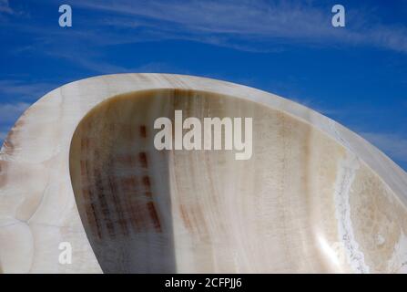 anish kapoor in houghton Hall, norfolk, england Stockfoto