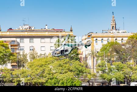 Sevilla, Spanien - 31. Mai 2019: Militärhubschrauber fliegt über den Guadalquivir Fluss während des spanischen Armeetag in Sevilla, Spanien Stockfoto